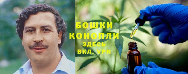 не бодяженный Арсеньев