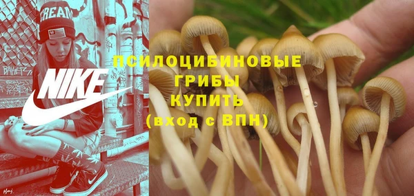 не бодяженный Арсеньев