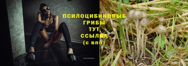 apvp Рославль