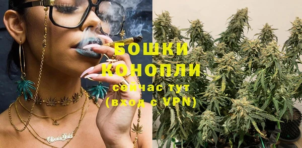 трава Армянск