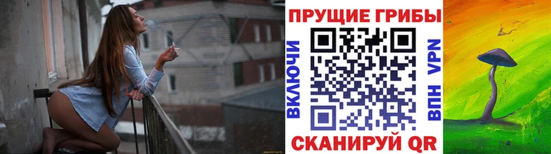 Галлюциногенные грибы мухоморы  как найти закладки  Светогорск 